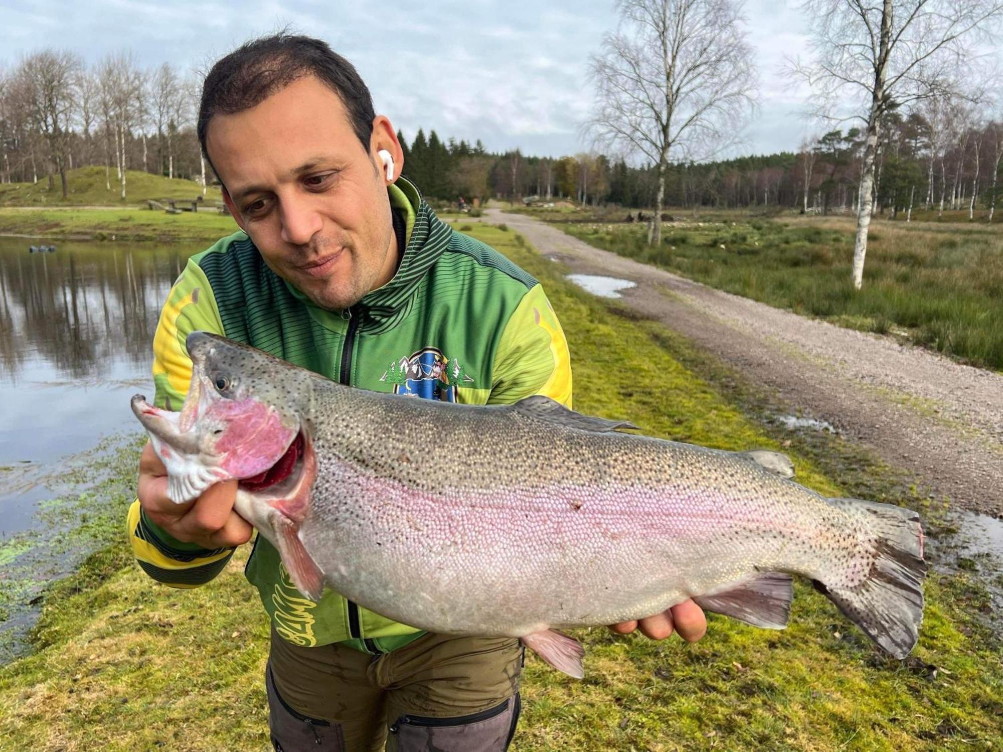 Stuga - Ulvereds Hjorthaegn Laholm Eksteriør billede